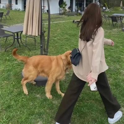 圣母在上第三季